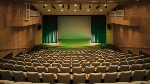 אודיטוריום וייל 2.jpg